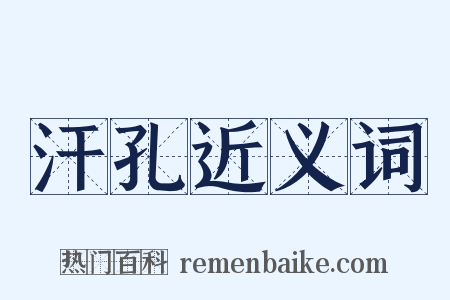 汗孔近义词是什么意思的图片